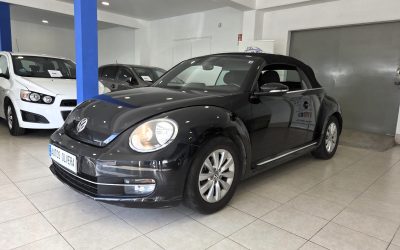 WhatsApp Image 2026 01 14 at 11.08.04 (1)